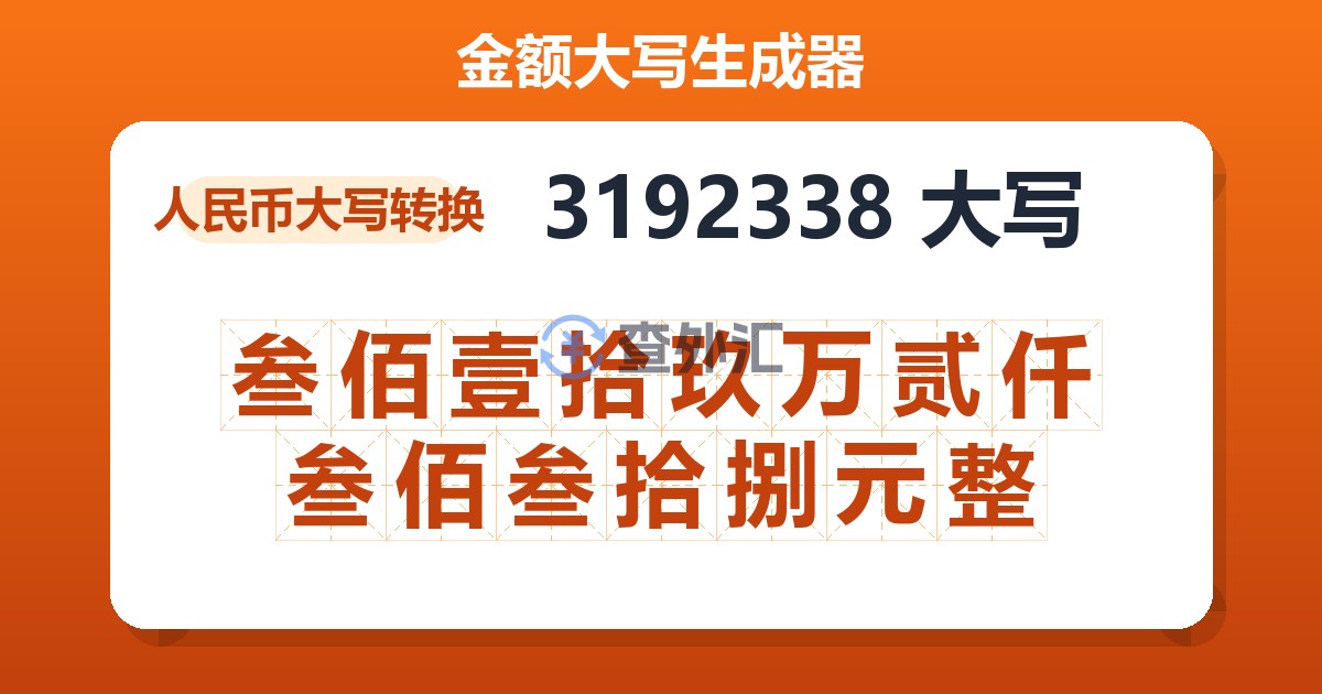 3192338大写 叁佰壹拾玖万贰仟叁佰叁拾捌元整