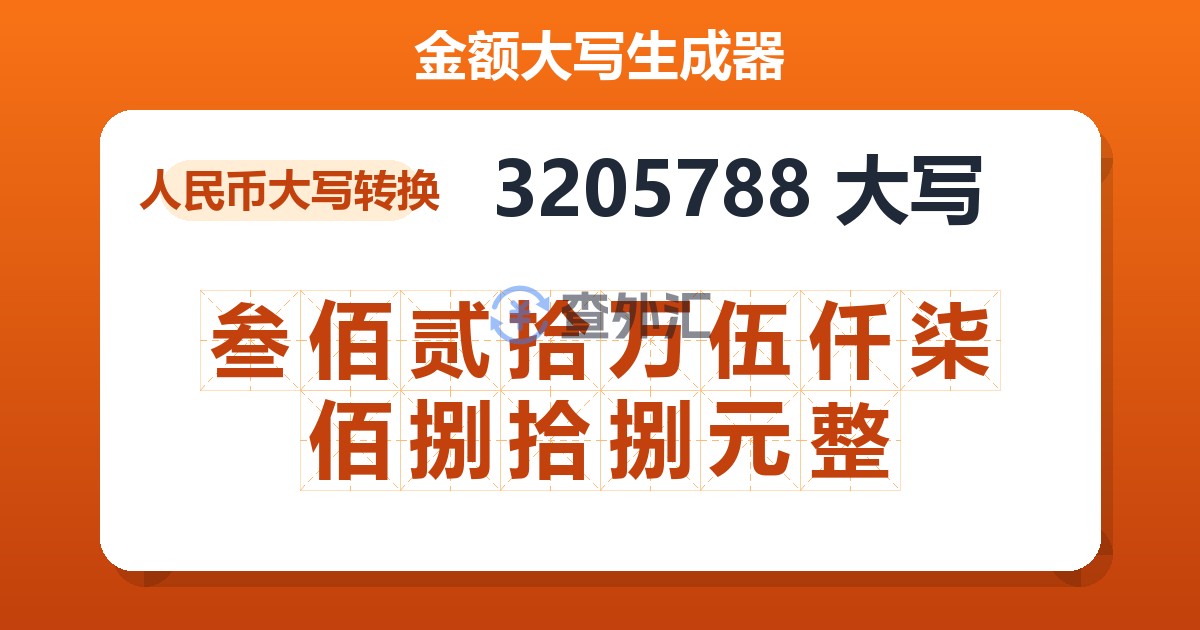 3205788大写 叁佰贰拾万伍仟柒佰捌拾捌元整