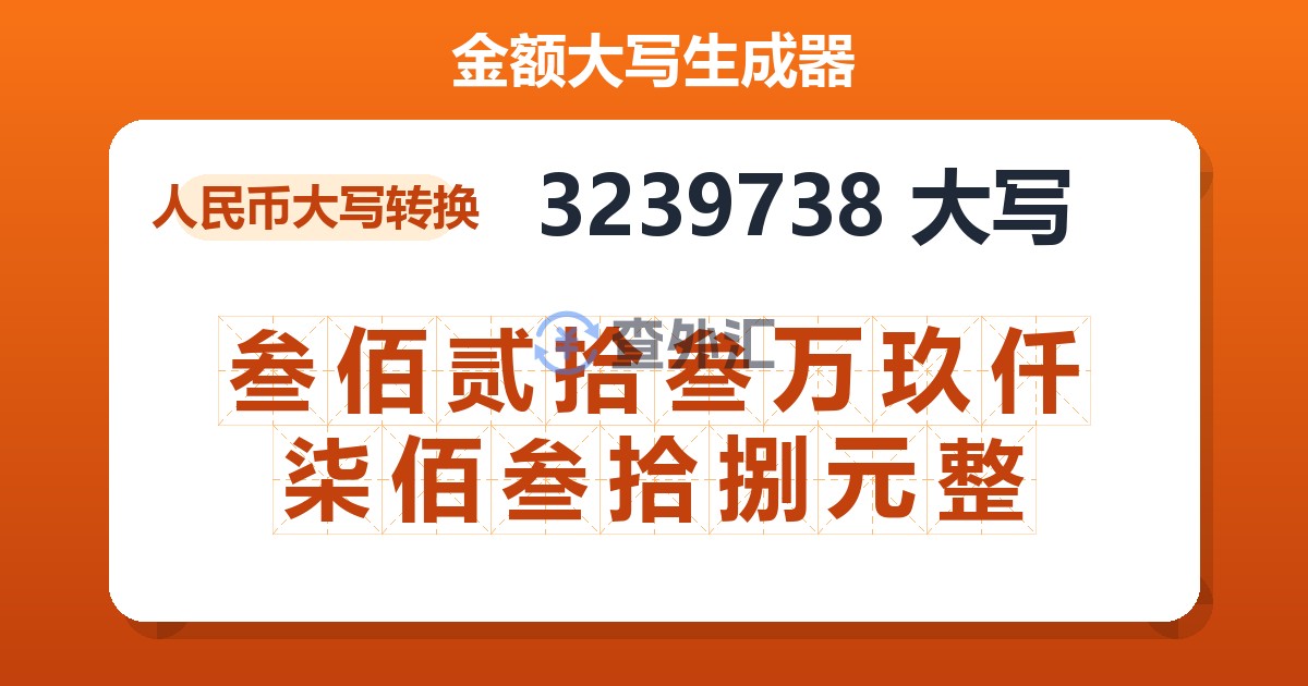 3239738大写 叁佰贰拾叁万玖仟柒佰叁拾捌元整