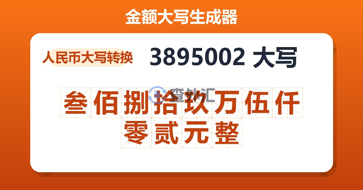 3895002大写 叁佰捌拾玖万伍仟零贰元整