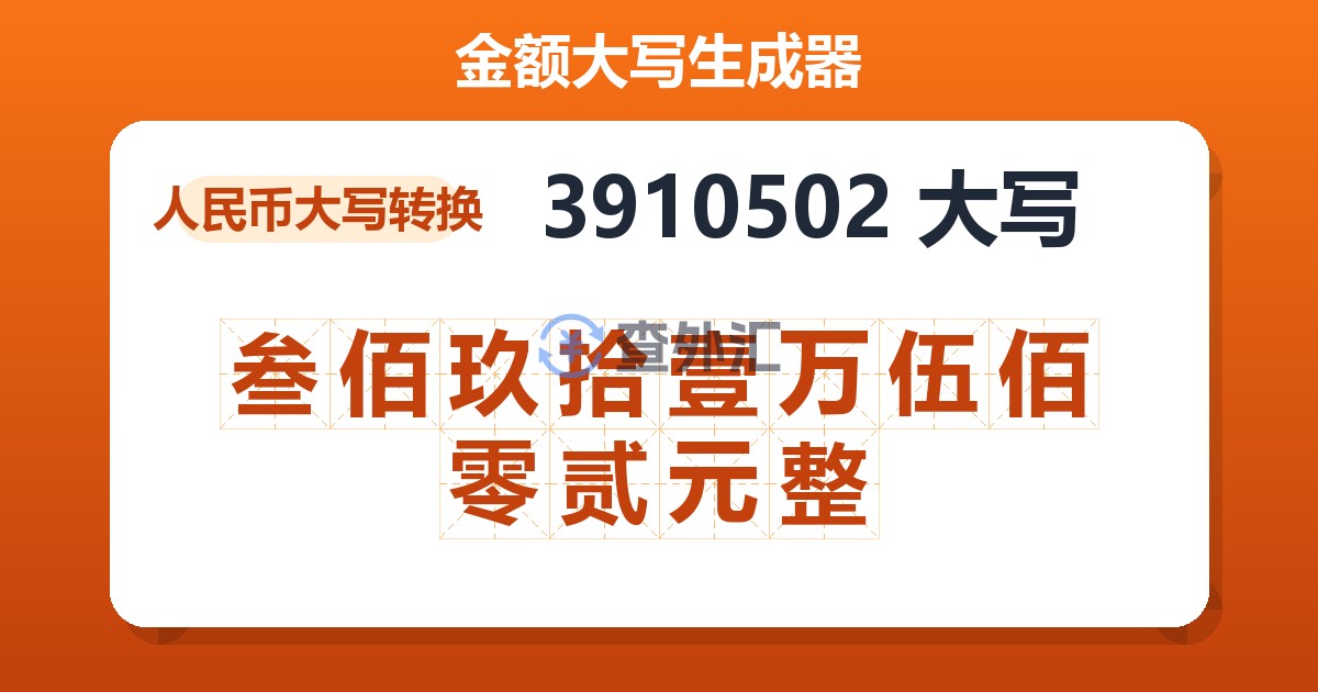 3910502大写 叁佰玖拾壹万伍佰零贰元整