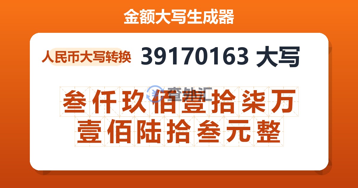 39170163大写 叁仟玖佰壹拾柒万壹佰陆拾叁元整