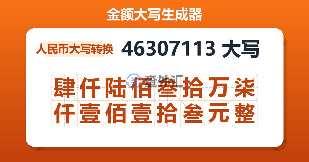 46307113大写 肆仟陆佰叁拾万柒仟壹佰壹拾叁元整