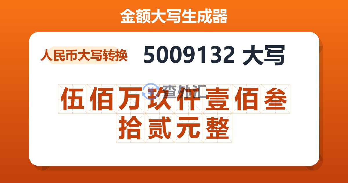 5009132大写 伍佰万玖仟壹佰叁拾贰元整