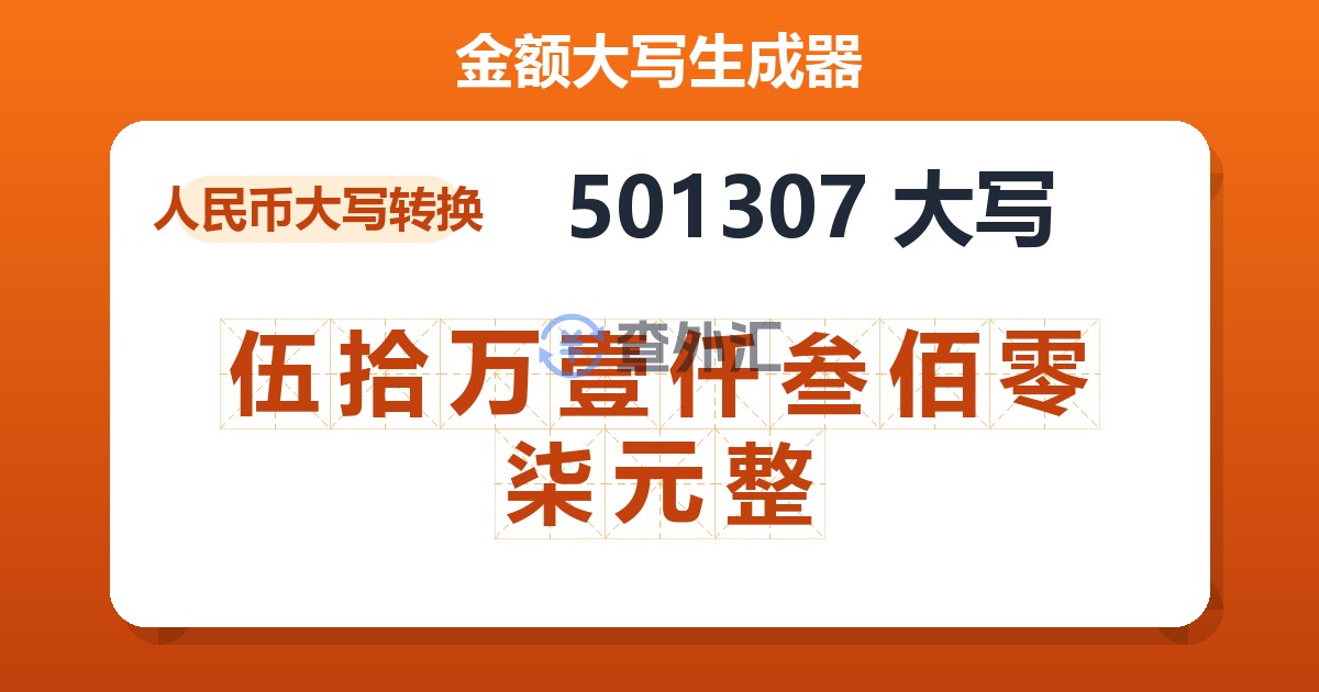 501307大写 伍拾万壹仟叁佰零柒元整