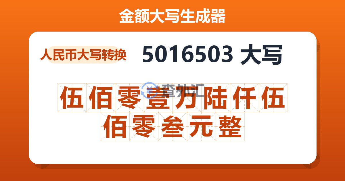 5016503大写 伍佰零壹万陆仟伍佰零叁元整
