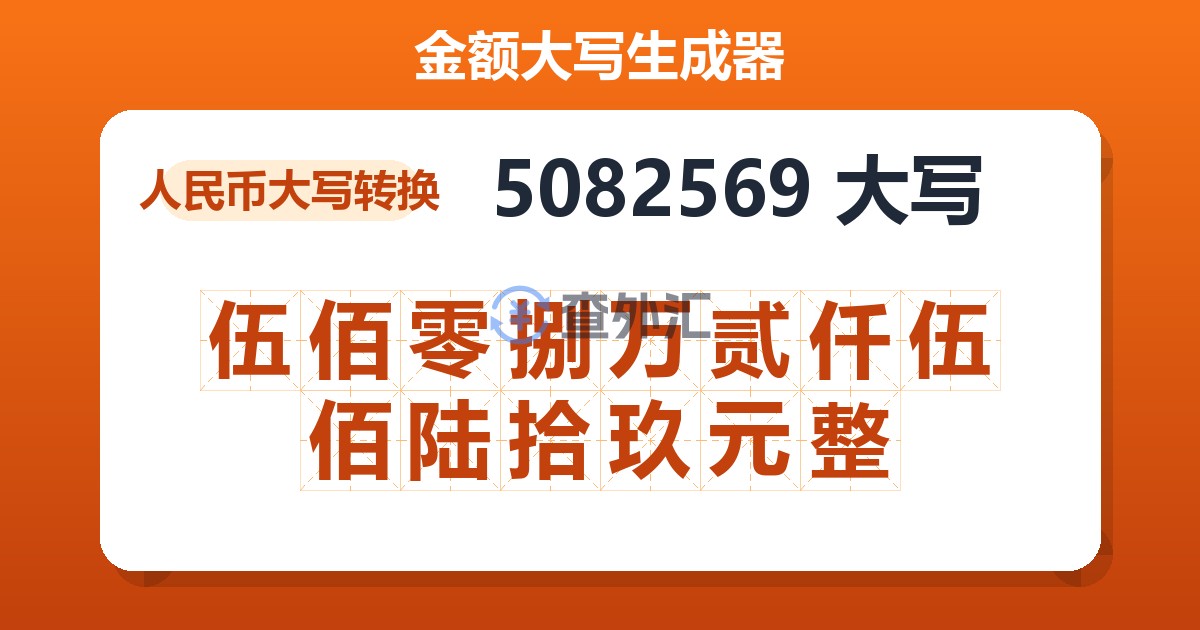 5082569大写 伍佰零捌万贰仟伍佰陆拾玖元整