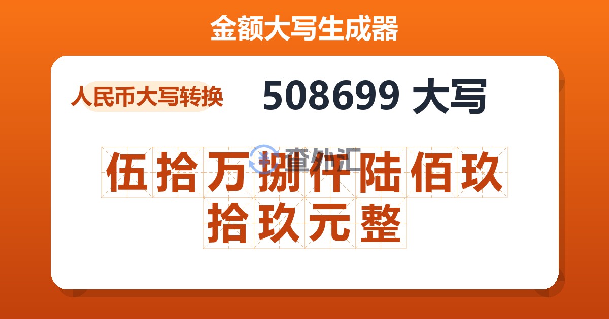 508699大写 伍拾万捌仟陆佰玖拾玖元整