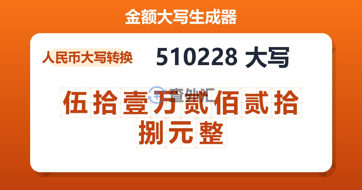 510228大写 伍拾壹万贰佰贰拾捌元整