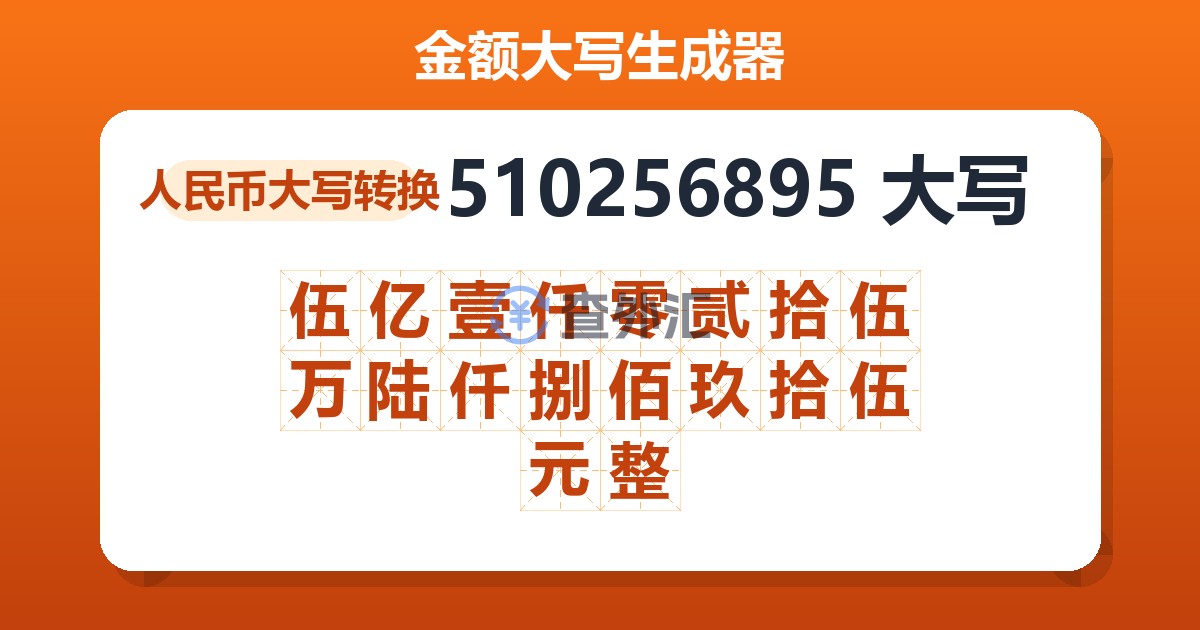 510256895大写 伍亿壹仟零贰拾伍万陆仟捌佰玖拾伍元整