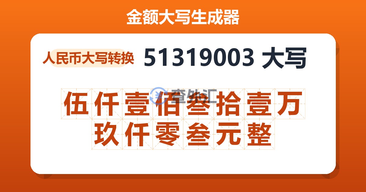 51319003大写 伍仟壹佰叁拾壹万玖仟零叁元整
