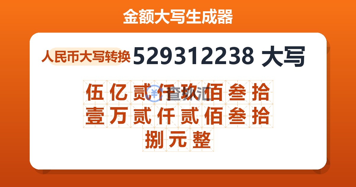 529312238大写 伍亿贰仟玖佰叁拾壹万贰仟贰佰叁拾捌元整