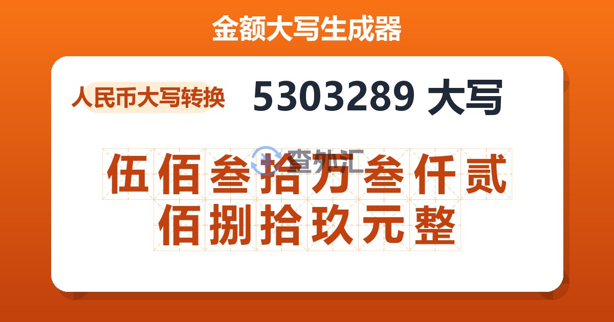 5303289大写 伍佰叁拾万叁仟贰佰捌拾玖元整