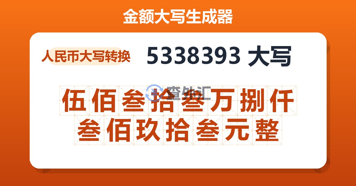 5338393大写 伍佰叁拾叁万捌仟叁佰玖拾叁元整