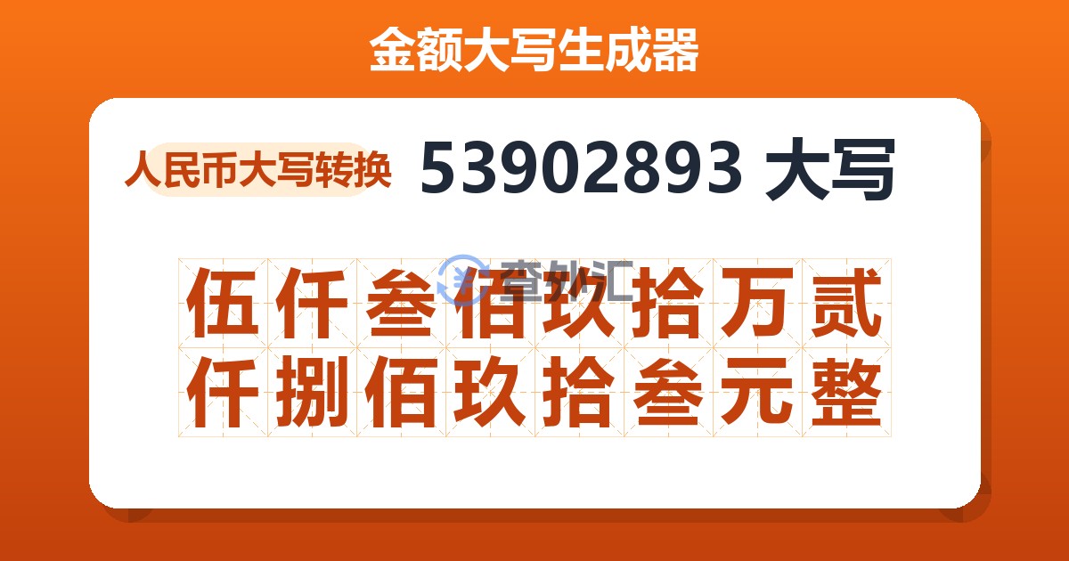 53902893大写 伍仟叁佰玖拾万贰仟捌佰玖拾叁元整