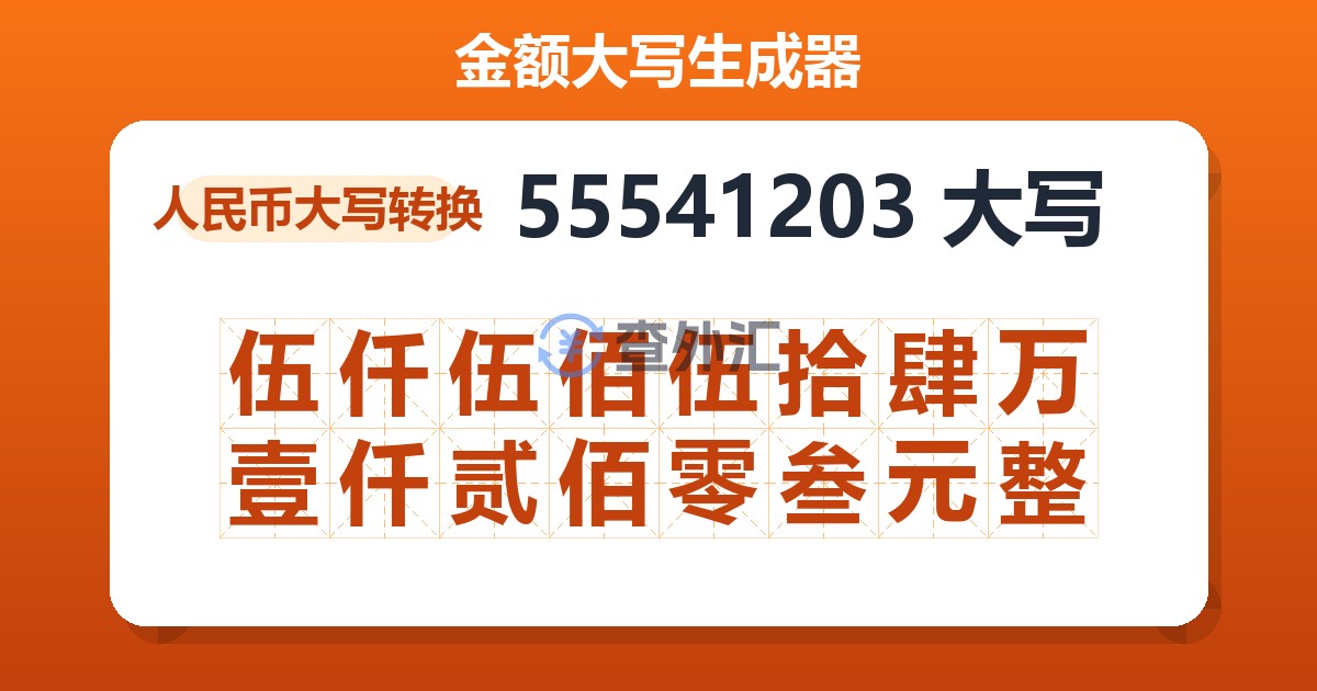 55541203大写 伍仟伍佰伍拾肆万壹仟贰佰零叁元整