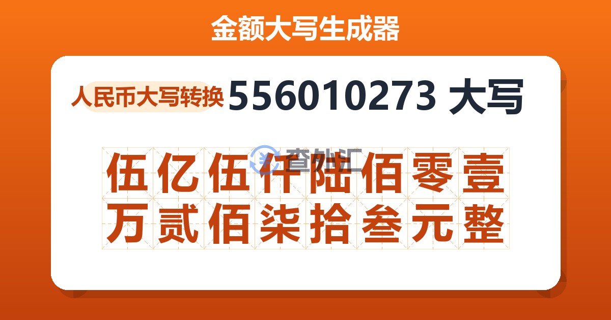556010273大写 伍亿伍仟陆佰零壹万贰佰柒拾叁元整
