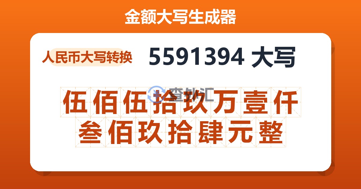 5591394大写 伍佰伍拾玖万壹仟叁佰玖拾肆元整
