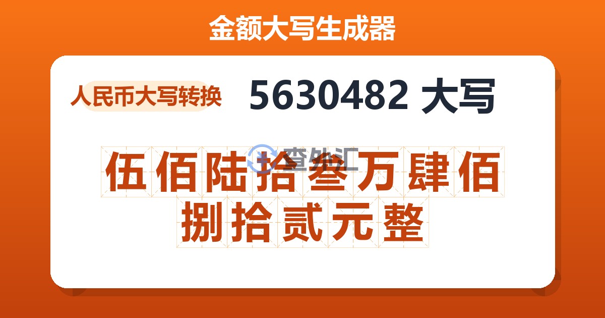 5630482大写 伍佰陆拾叁万肆佰捌拾贰元整
