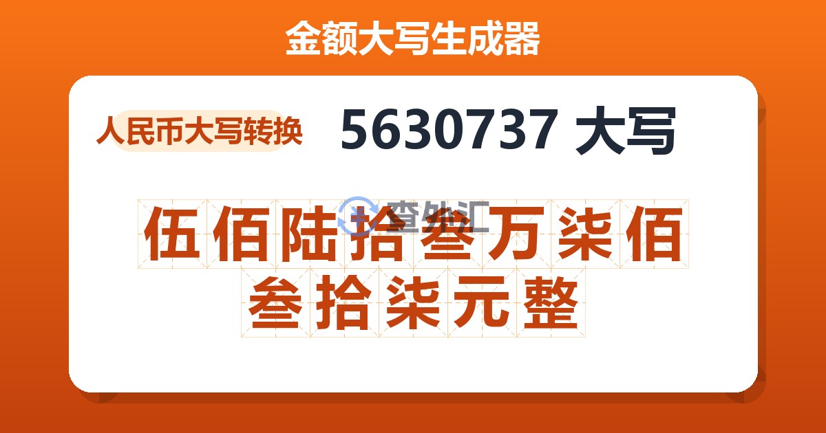 5630737大写 伍佰陆拾叁万柒佰叁拾柒元整