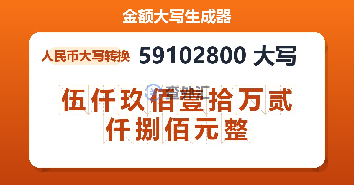 59102800大写 伍仟玖佰壹拾万贰仟捌佰元整