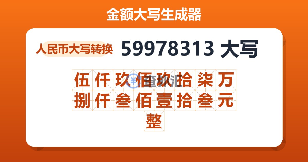 59978313大写 伍仟玖佰玖拾柒万捌仟叁佰壹拾叁元整