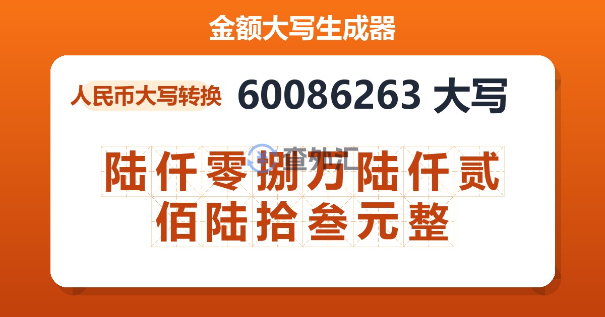 60086263大写 陆仟零捌万陆仟贰佰陆拾叁元整
