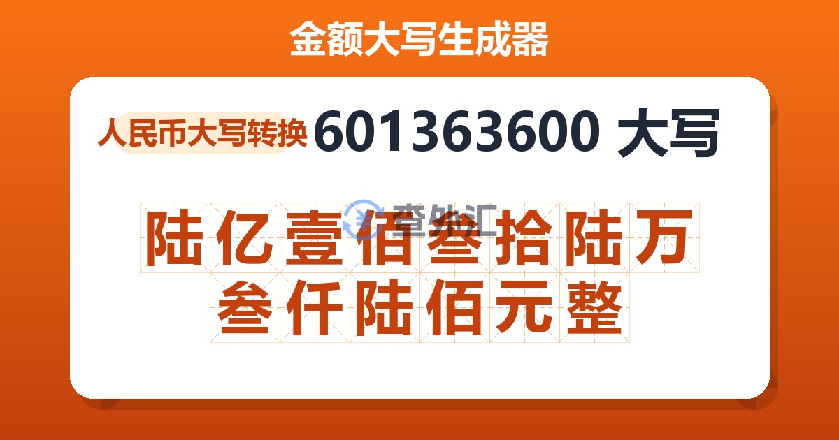 601363600大写 陆亿壹佰叁拾陆万叁仟陆佰元整