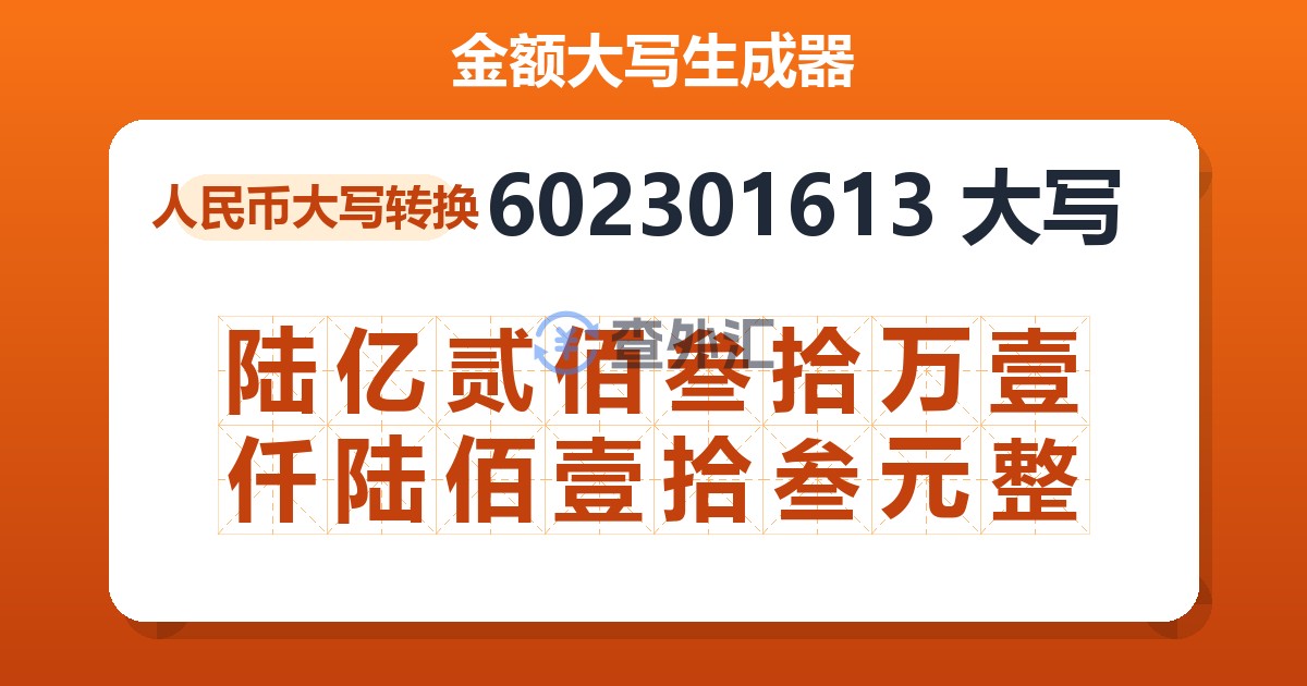 602301613大写 陆亿贰佰叁拾万壹仟陆佰壹拾叁元整