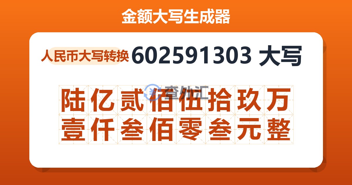 602591303大写 陆亿贰佰伍拾玖万壹仟叁佰零叁元整