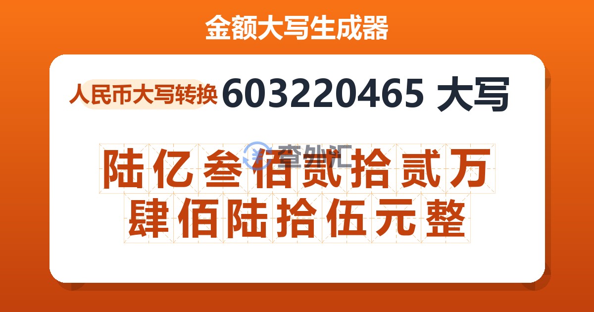 603220465大写 陆亿叁佰贰拾贰万肆佰陆拾伍元整