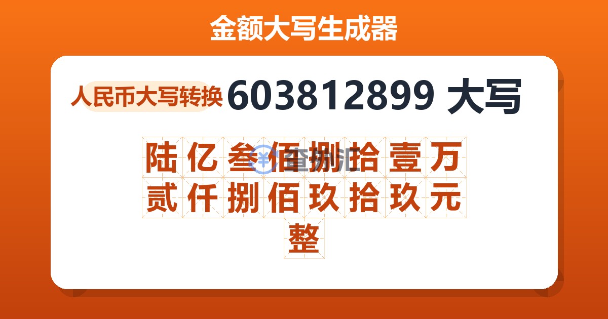 603812899大写 陆亿叁佰捌拾壹万贰仟捌佰玖拾玖元整