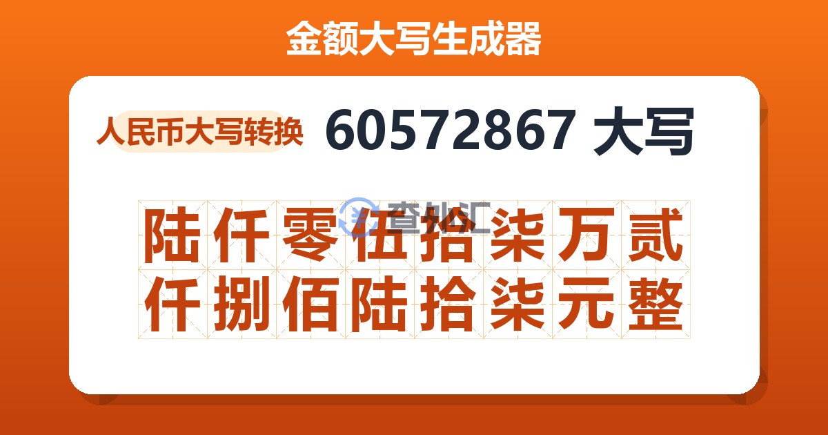 60572867大写 陆仟零伍拾柒万贰仟捌佰陆拾柒元整