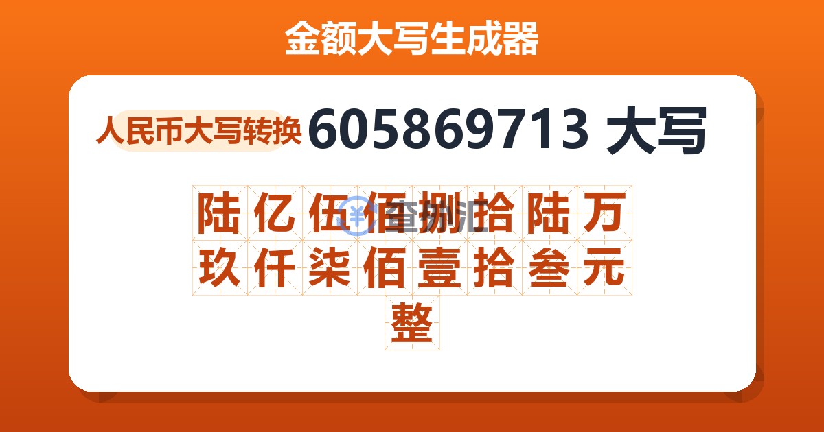 605869713大写 陆亿伍佰捌拾陆万玖仟柒佰壹拾叁元整