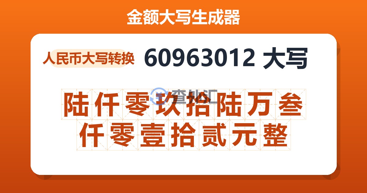 60963012大写 陆仟零玖拾陆万叁仟零壹拾贰元整