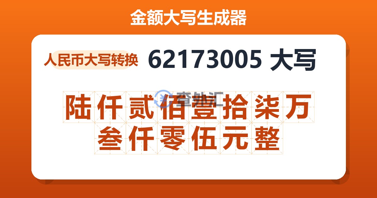 62173005大写 陆仟贰佰壹拾柒万叁仟零伍元整