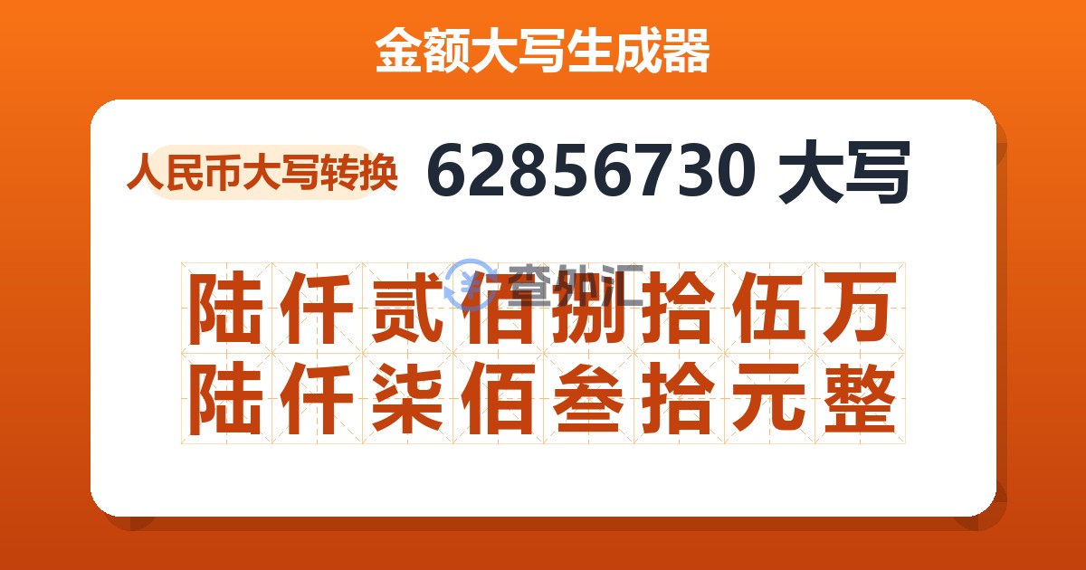 62856730大写 陆仟贰佰捌拾伍万陆仟柒佰叁拾元整