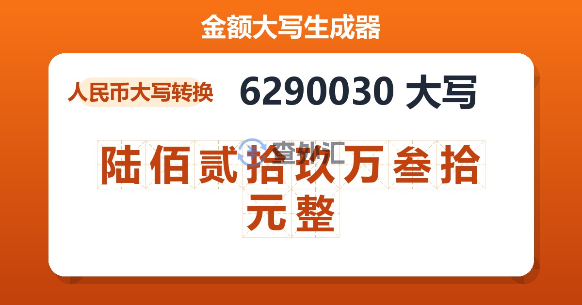 6290030大写 陆佰贰拾玖万叁拾元整