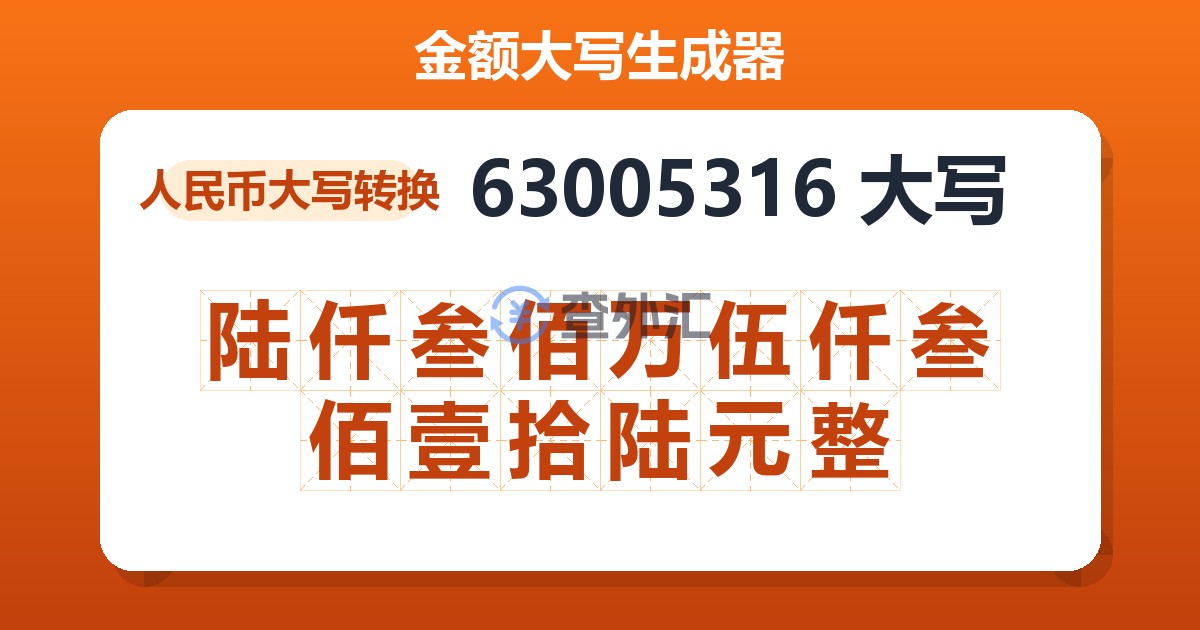63005316大写 陆仟叁佰万伍仟叁佰壹拾陆元整
