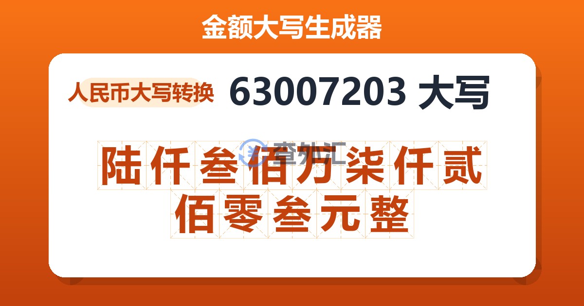 63007203大写 陆仟叁佰万柒仟贰佰零叁元整