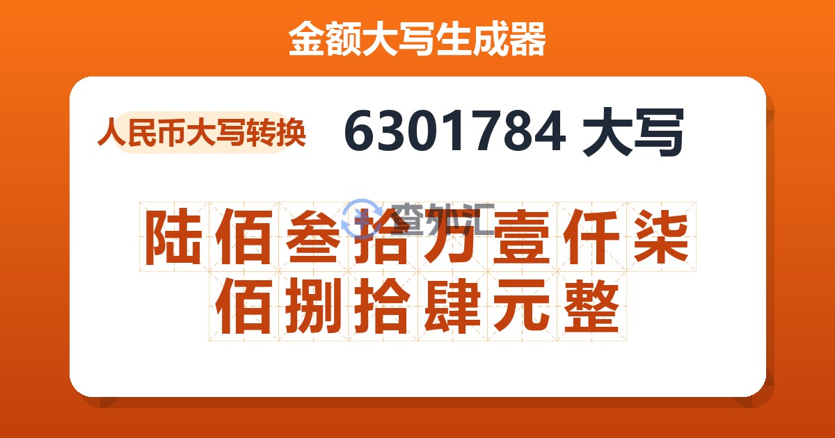 6301784大写 陆佰叁拾万壹仟柒佰捌拾肆元整