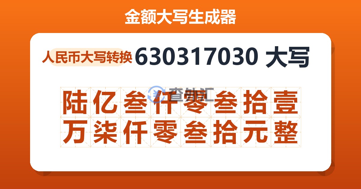 630317030大写 陆亿叁仟零叁拾壹万柒仟零叁拾元整