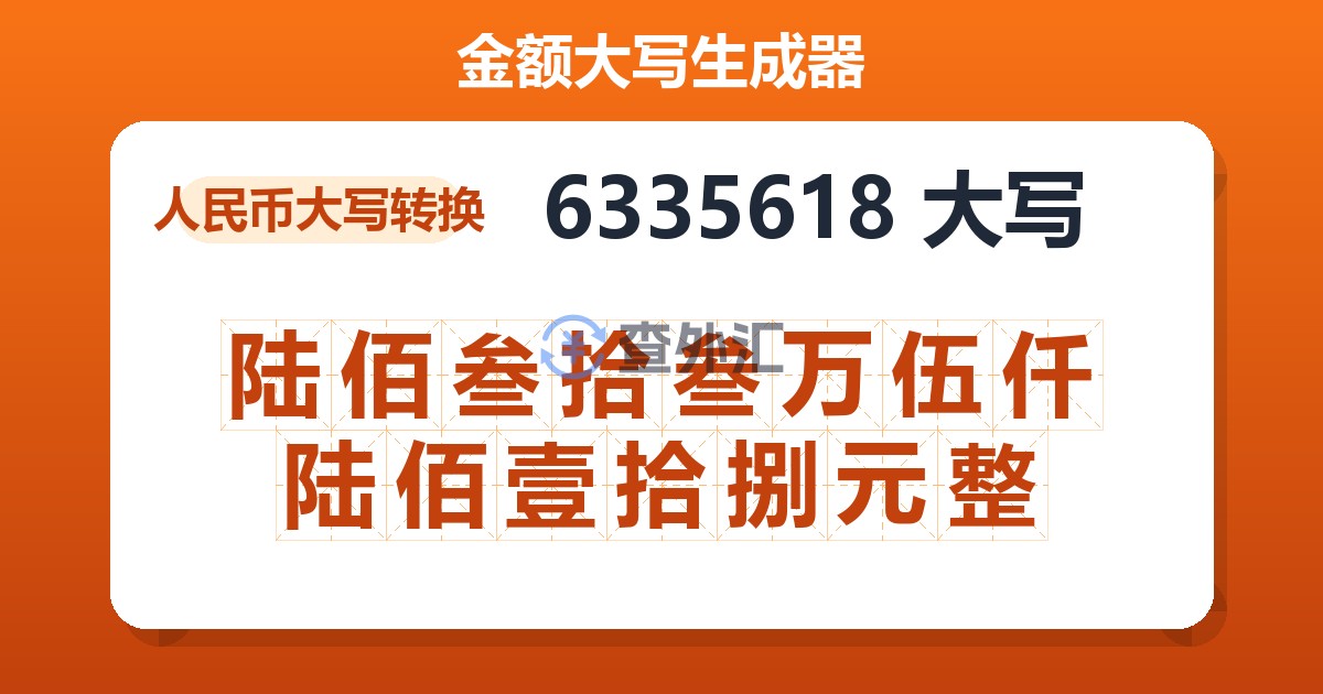 6335618大写 陆佰叁拾叁万伍仟陆佰壹拾捌元整