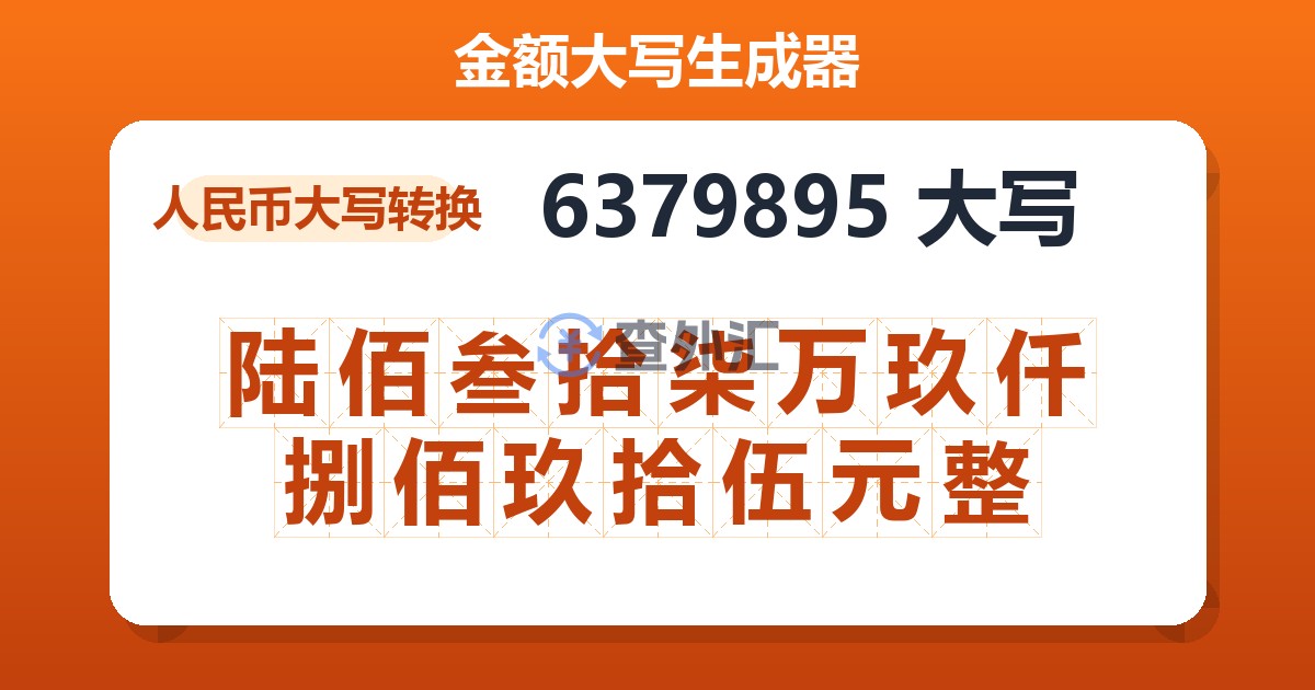 6379895大写 陆佰叁拾柒万玖仟捌佰玖拾伍元整