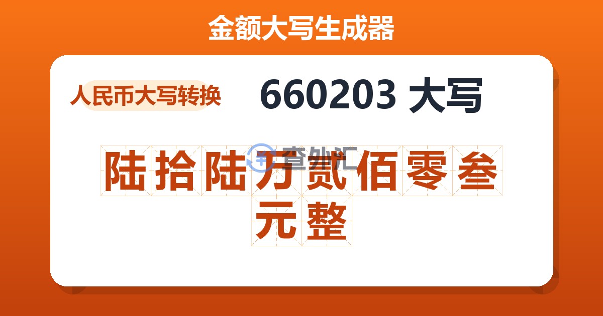 660203大写 陆拾陆万贰佰零叁元整