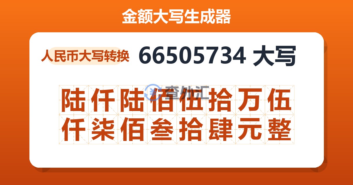 66505734大写 陆仟陆佰伍拾万伍仟柒佰叁拾肆元整