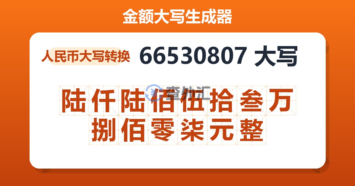 66530807大写 陆仟陆佰伍拾叁万捌佰零柒元整