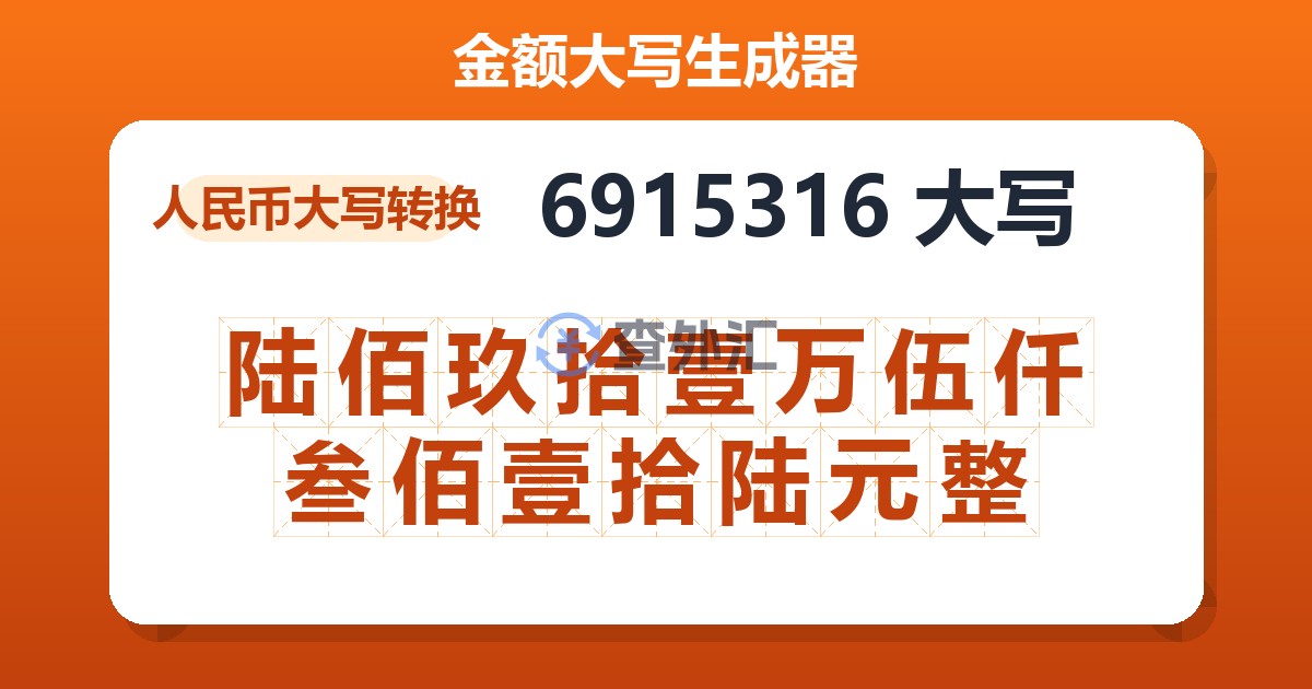 6915316大写 陆佰玖拾壹万伍仟叁佰壹拾陆元整