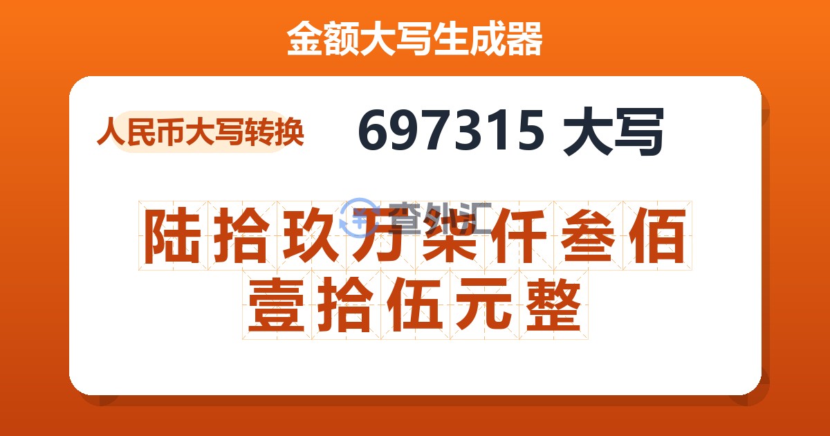 697315大写 陆拾玖万柒仟叁佰壹拾伍元整