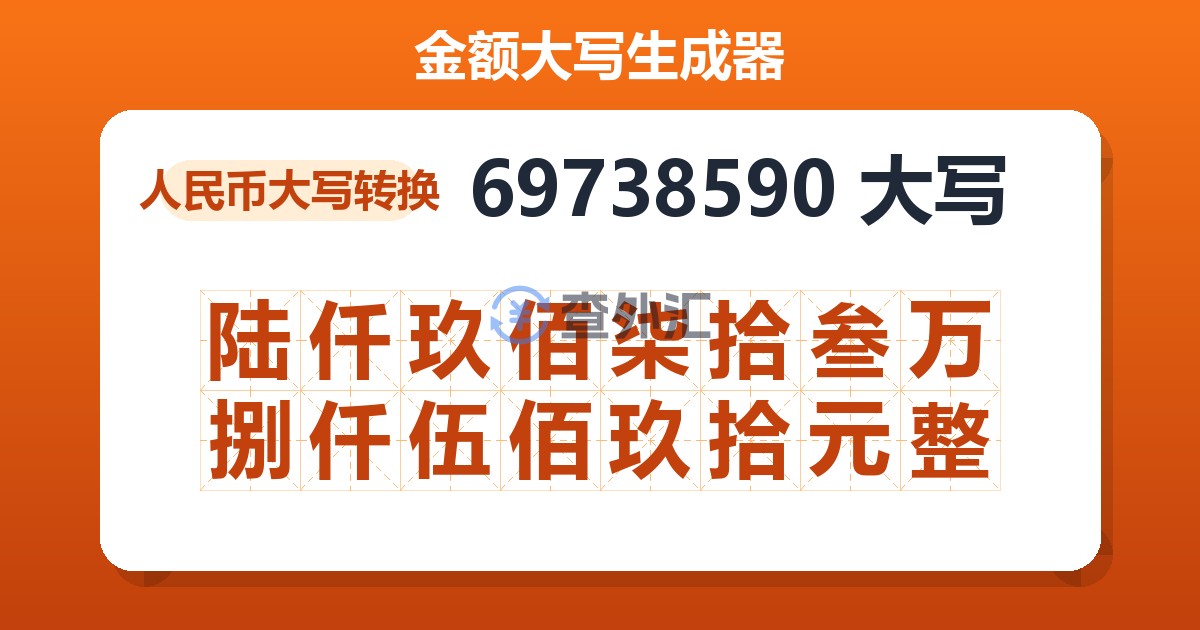 69738590大写 陆仟玖佰柒拾叁万捌仟伍佰玖拾元整